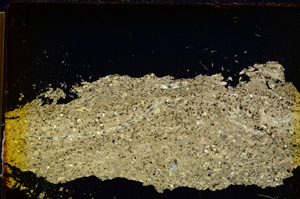 Cross Polarized, E20253