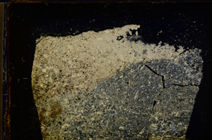 Cross Polarized, E20255