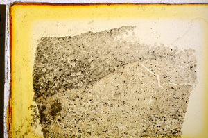 Plane Polarized, E20255