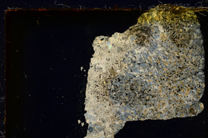 Cross Polarized, E20258