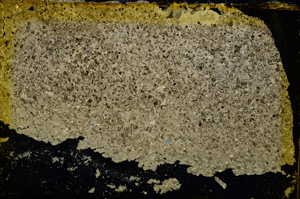 Cross Polarized, E20259