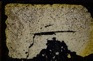 Cross Polarized, E20260