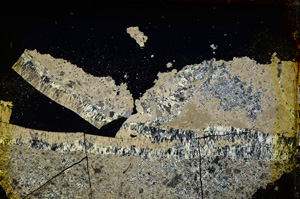 Cross Polarized, E20262