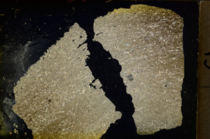 Cross Polarized, E20267