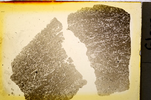 Plane Polarized, E20267