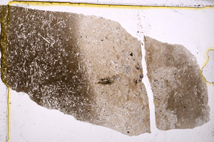 Plane Polarized, E20268