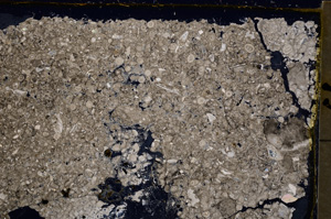 Cross Polarized, E20273