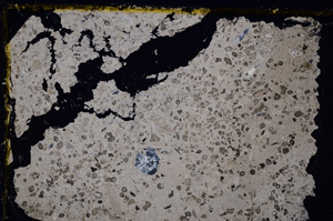 Cross Polarized, E20274