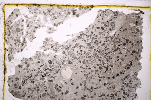 Plane Polarized, E20274