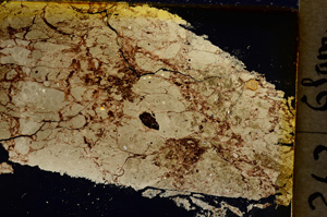 Cross Polarized, E20291
