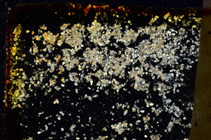 Cross Polarized, E20294