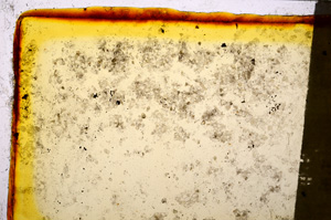 Plane Polarized, E20294