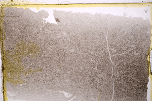 Plane Polarized, E20295
