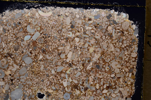 Cross Polarized, E20297