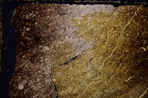 Cross Polarized, E20298