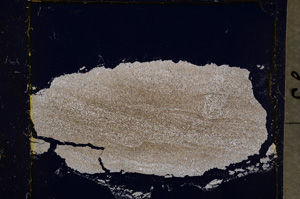 Cross Polarized, E20303