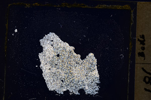 Cross Polarized, E20317