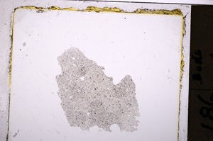 Plane Polarized, E20317