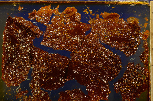 Cross Polarized, E20319