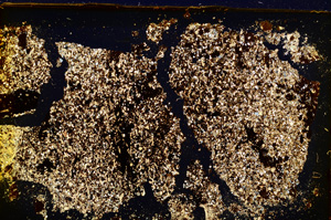 Cross Polarized, E20323