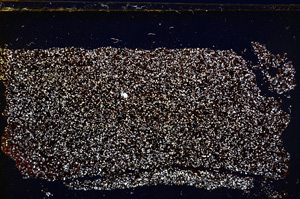 Cross Polarized, E20327