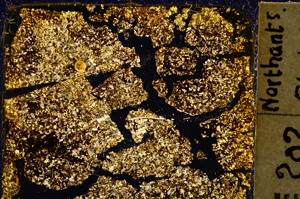 Cross Polarized, E20338