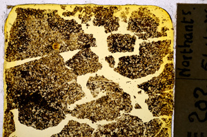 Plane Polarized, E20338