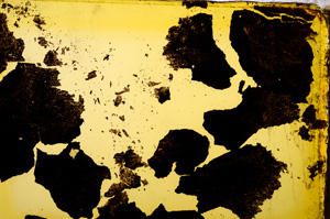 Plane Polarized, E20339