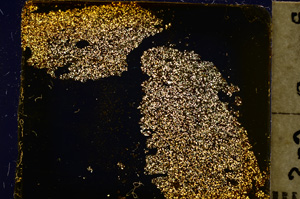 Cross Polarized, E20340