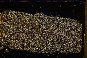 Cross Polarized, E20341