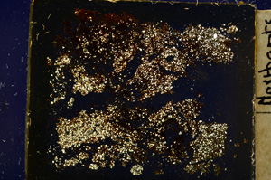 Cross Polarized, E20343