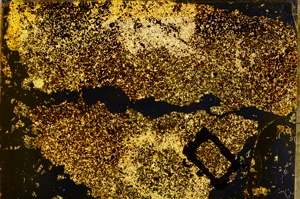 Cross Polarized, E20348