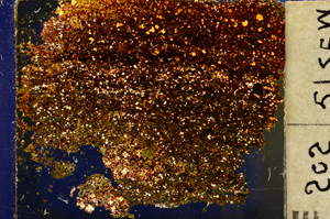 Cross Polarized, E20350