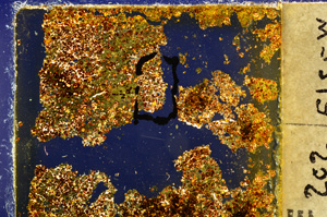 Cross Polarized, E20354