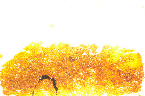 Plane Polarized, E20358