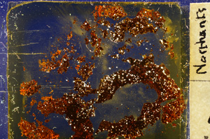 Cross Polarized, E20360