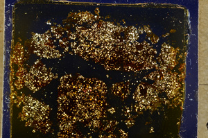 Cross Polarized, E20361