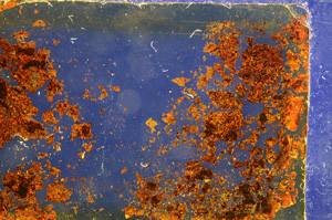 Cross Polarized, E20362