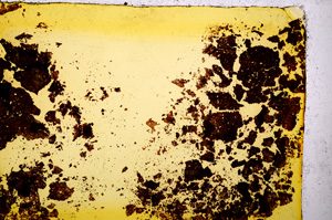 Plane Polarized, E20362