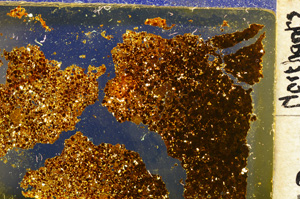 Cross Polarized, E20365