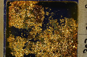 Cross Polarized, E20370