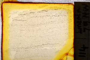 Plane Polarized, E20373