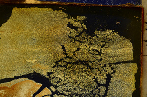 Cross Polarized, E20376