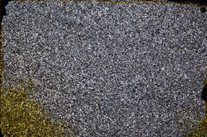 Cross Polarized, E20378