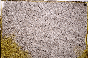 Plane Polarized, E20378