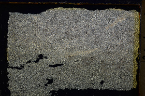 Cross Polarized, E20379