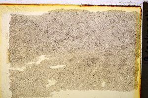 Plane Polarized, E20379