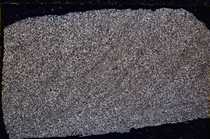 Cross Polarized, E20380