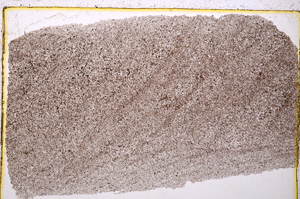 Plane Polarized, E20380