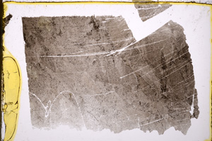 Plane Polarized, E20382
